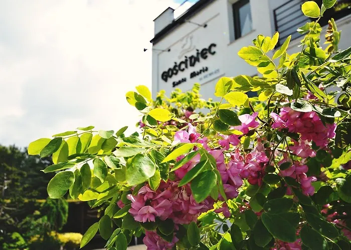 Gosciniec Santa Maria *